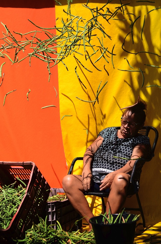 Fotoperformance Popular 10