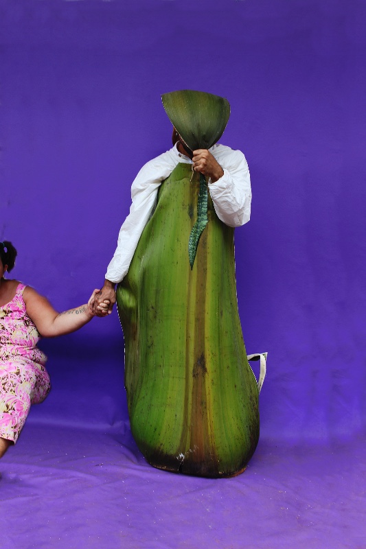 Fotoperformance Popular 16