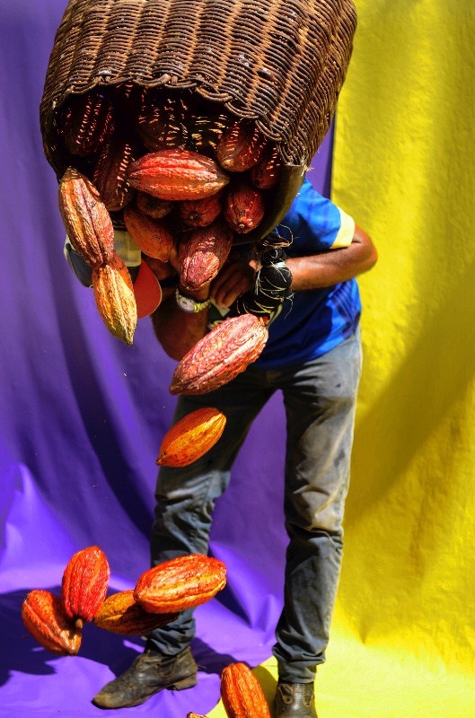 Fotoperformance Popular 28