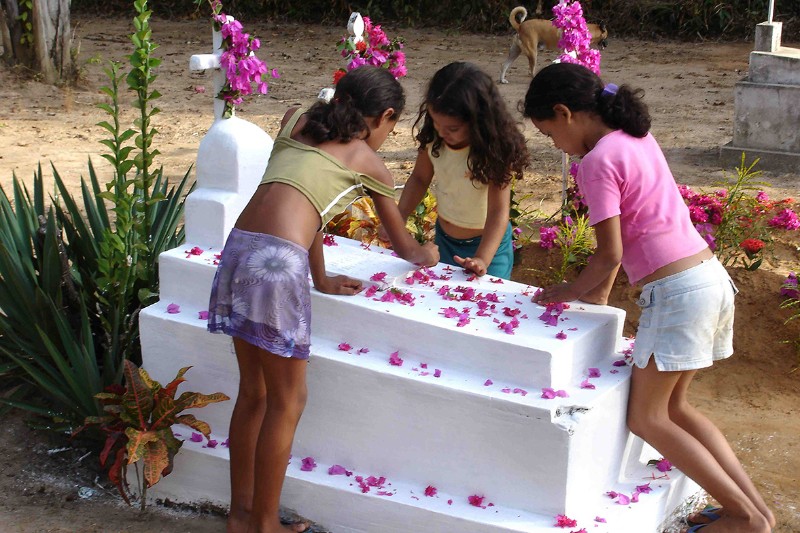 Chaque Douleur Une Fleur