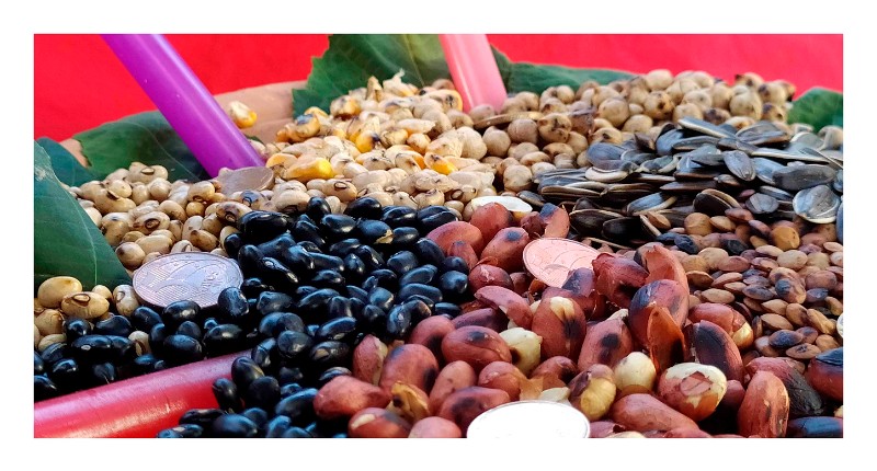 Aperçu de la thématique Vie quotidienne