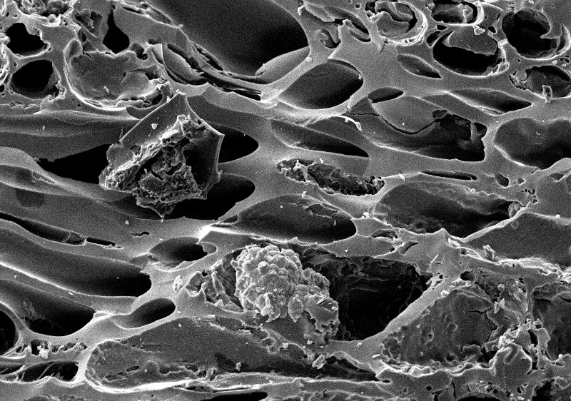 Madeira Corte Fresco 7