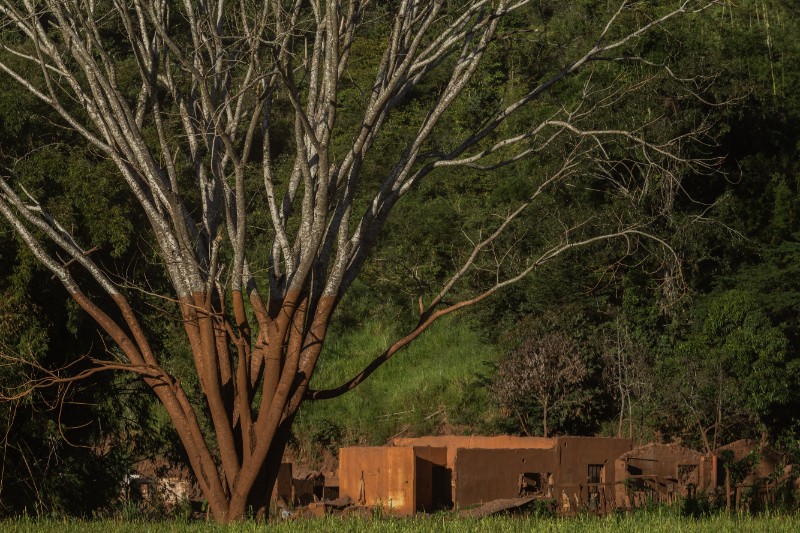 Aperçu de la thématique Femmes et féminisme