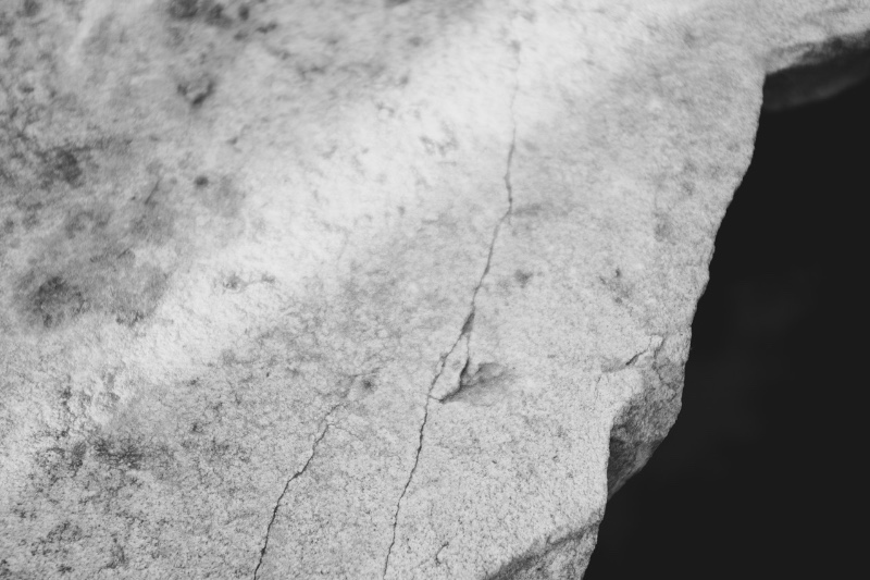 Comment respirent les bêtes 2