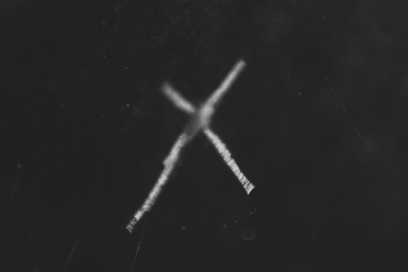 Comment respirent les bêtes 3