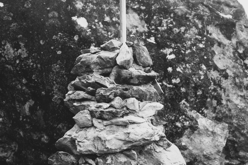 Comment respirent les bêtes 7