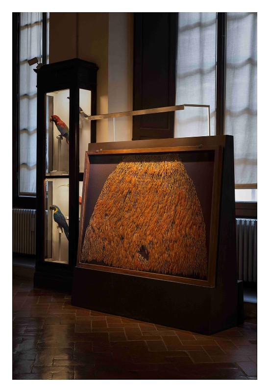 Museo di Antropologia e Etnologia