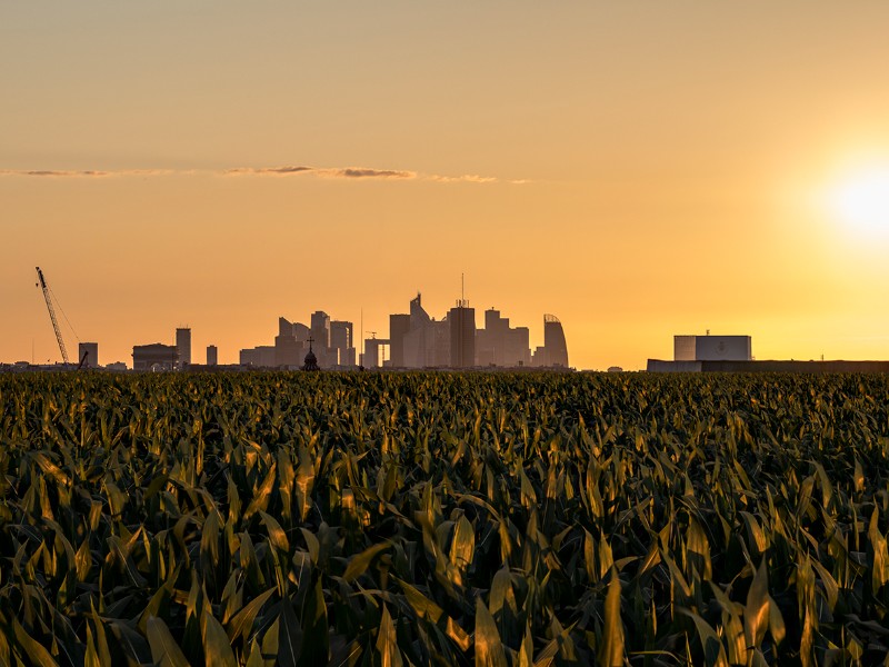 Alpha City 12 (2017)