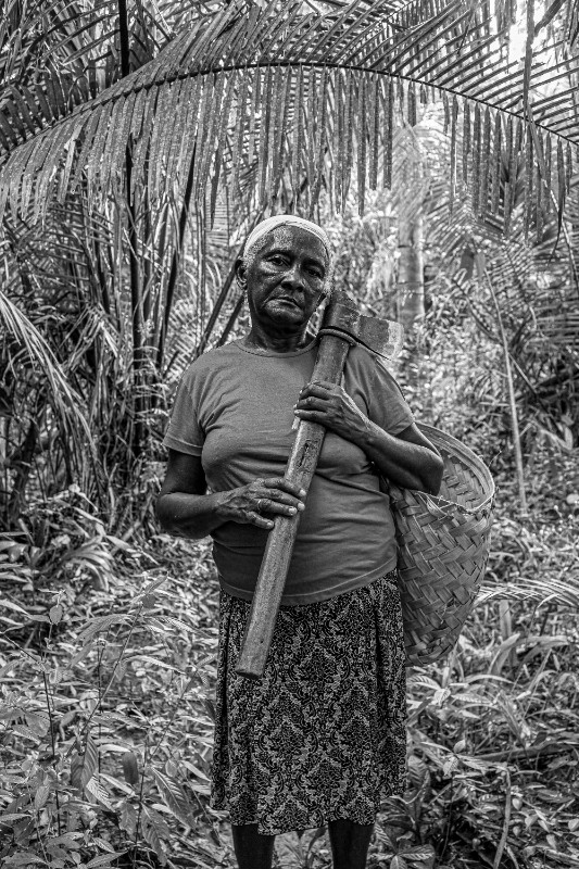 Aperçu de la thématique Femmes et féminisme