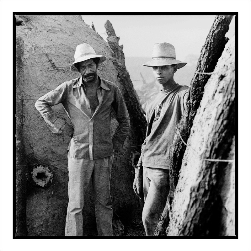 Aperçu de la thématique Environnement