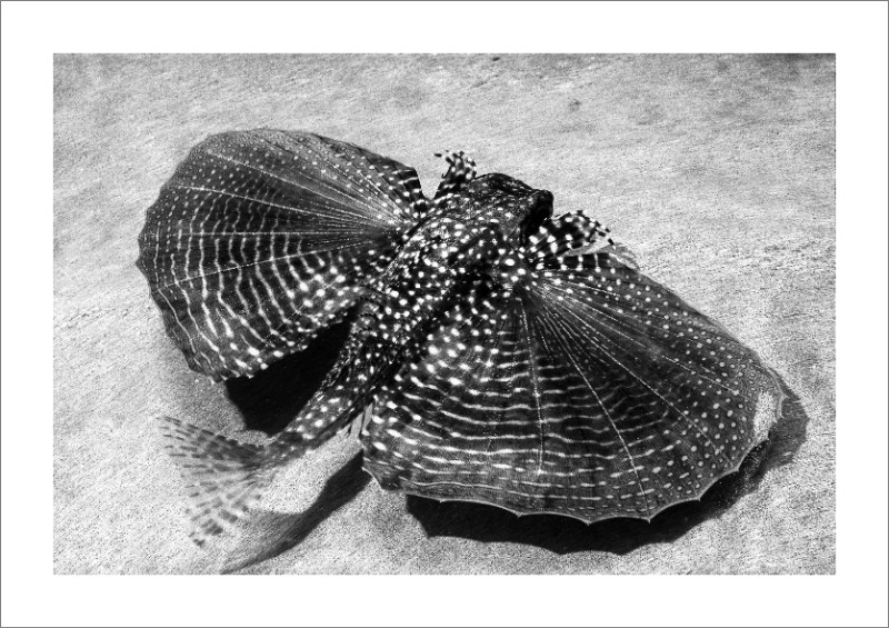 Aperçu de la thématique Littoral