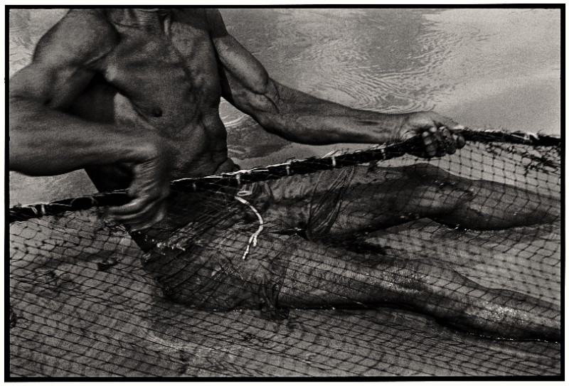 Aperçu de la thématique Littoral