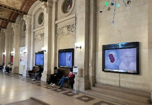 Trois photographes brésiliennes hissent la couleur